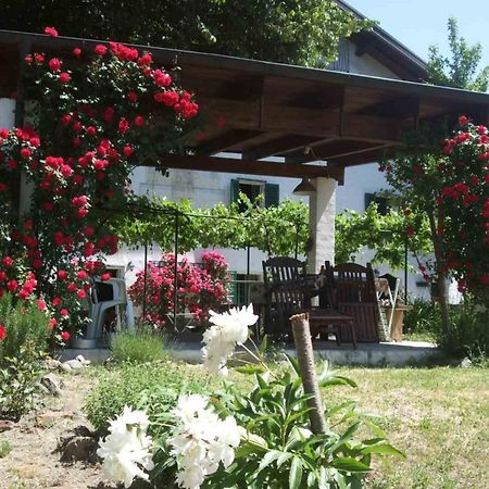 Casa Di Alfredo B&B - Citr9039 Mioglia Экстерьер фото